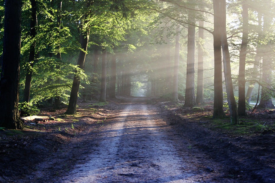 2018_0709220614_road-815297_960_720.jpg