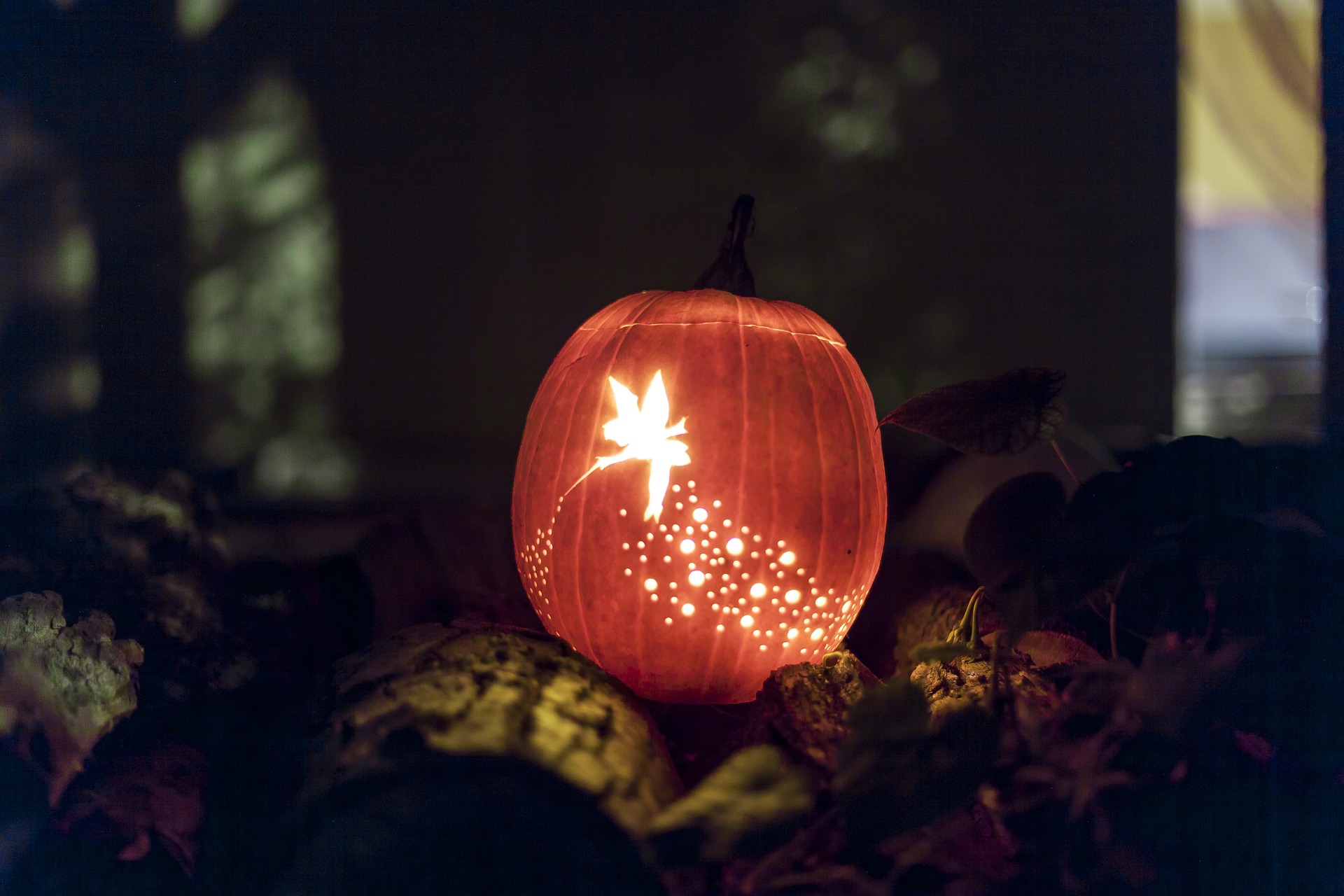 2019_1029212639_jack-o-lantern-1287381_1920.jpg